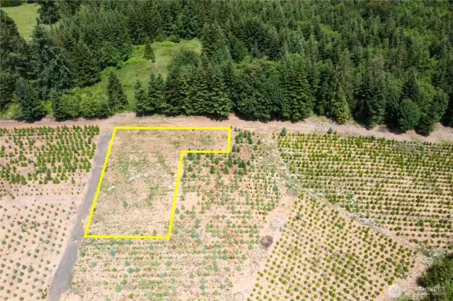 Build site in yellow