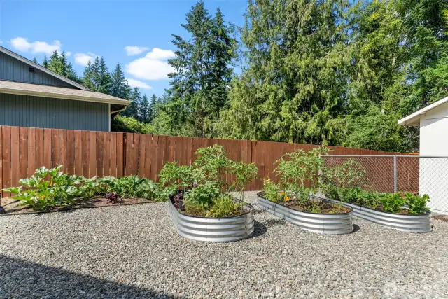 The fenced garden area features raised beds, brimming with this year's harvest for farm-to-table freshness.raised garden beds are teeming with this year's vibrant harvest, including tomatoes, celery, beets, zucchini, and a plentiful array of herbs, all ready for your enjoyment.