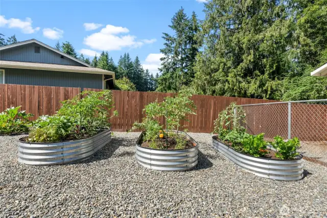 Raised garden beds are teeming with this year's vibrant harvest, including tomatoes, celery, beets, zucchini, and a plentiful array of herbs, all ready for your enjoyment.