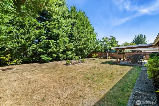 Huge Yard