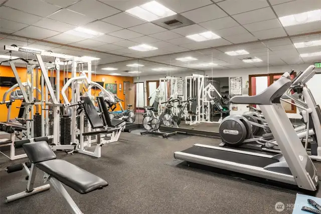 Gym on 2nd