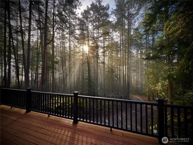 View from deck