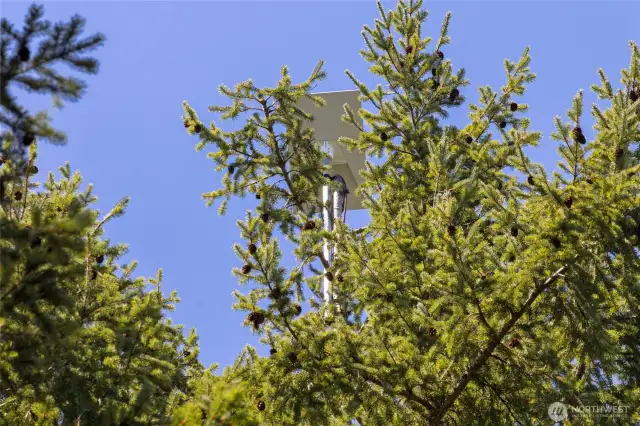 Custom tree-mounted Starlink