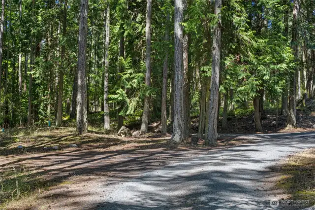 Private driveway with parking turnouts