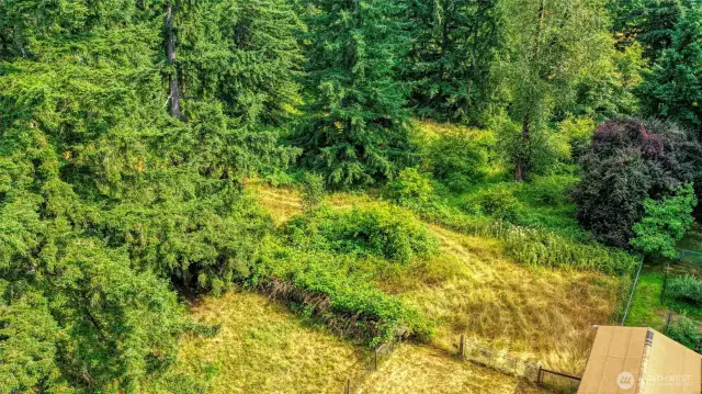 Road from front gate winds deep into multiple areas of this property, making access a breeze.