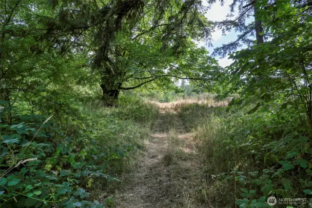 Road leading to cleared area on West portion of smaller parcel.