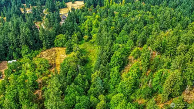 Lots of separate, open spaces across these 2 lots!