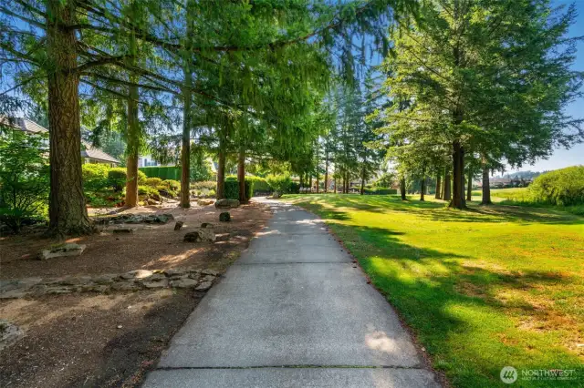 Golf Cart path