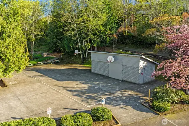 community basketball area