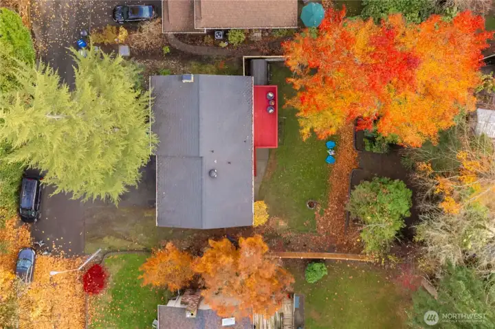 Large flat lot (over 8000 sqft) & fully fenced backyard with doule door entry