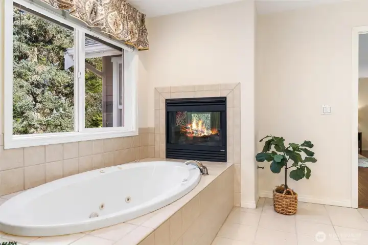 Master bathroom featuring a deep soaking jetted tub set against a private view and a 2 way fireplace.