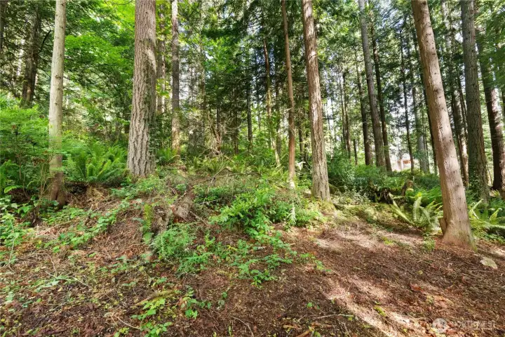 Waterfront, privacy, community, and close to everything!