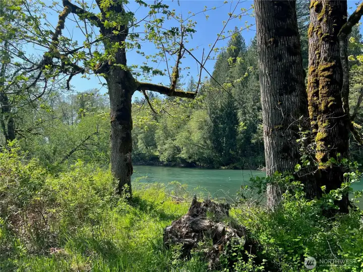 One of several points of access to the Cowlitz River