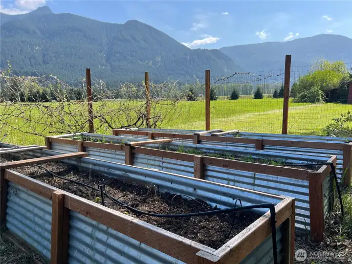 Watering system makes for easy to care for garden beds. Fenced to keep the elk from eating your harvest.