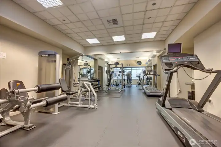 Community gym updated with excellent equipment for a full workout.