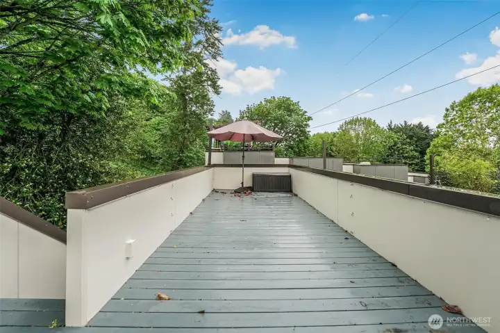Enjoy the outdoors on this sundrenched rooftop deck with its terrirtorial views