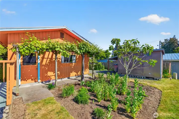 Garden Space with Shop and Shed