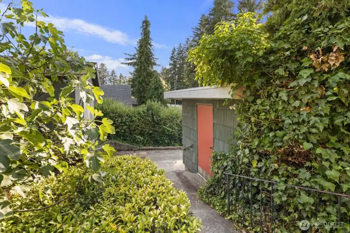 View of workshop door and a view of the mature fig tree.