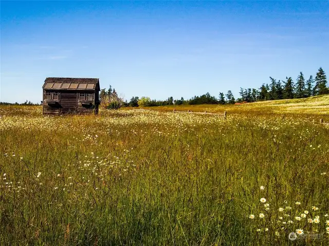 Island Features (rural island pastoral scenery.)