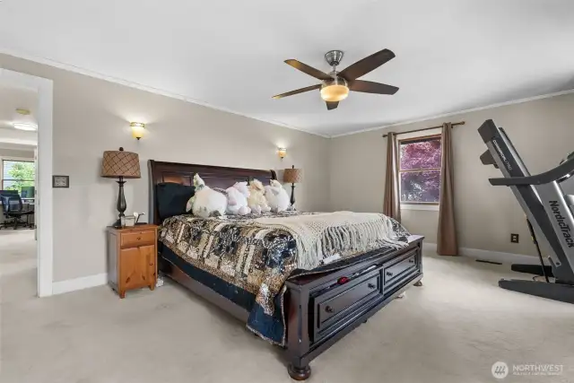 Spacious bedroom with ceiling fan and ample natural light.