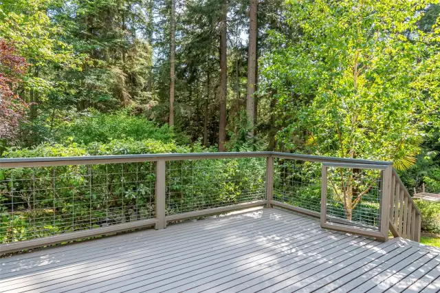The back deck, which has two entrances from the backyard.