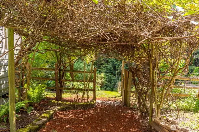 Another charming entrance in the lovely gardens, enjoy the sweet sounds of nature in this tranquil garden.