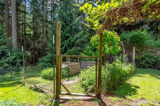 A fenced in area with raised beds. The entire back garden is fully fenced as well.