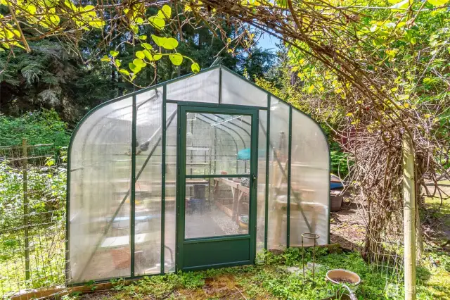 The charming green house