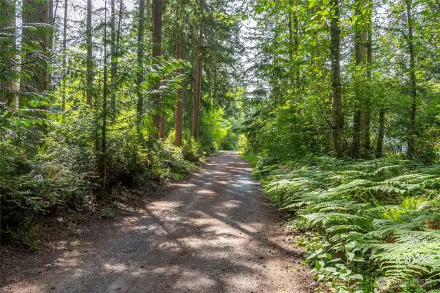 Quail Trail Drive leading up to the private driveway.