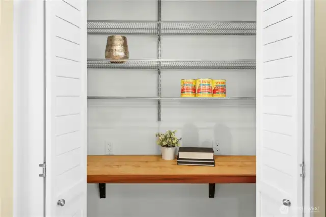 The handy pantry in the kitchen.