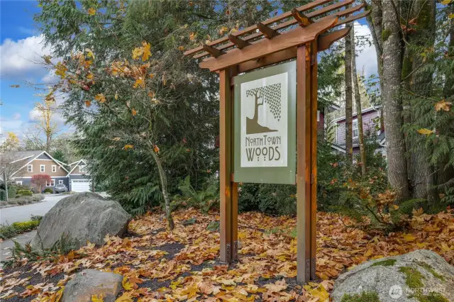 The North Town Woods neighborhood is known island-wide as the best place to Trick or Treat on the island.