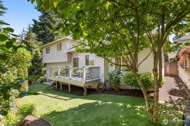 Privacy (and easy-to-maintain turf).