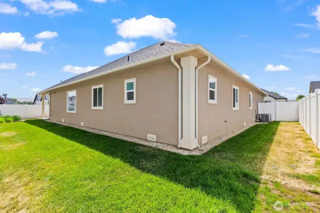 Back yard