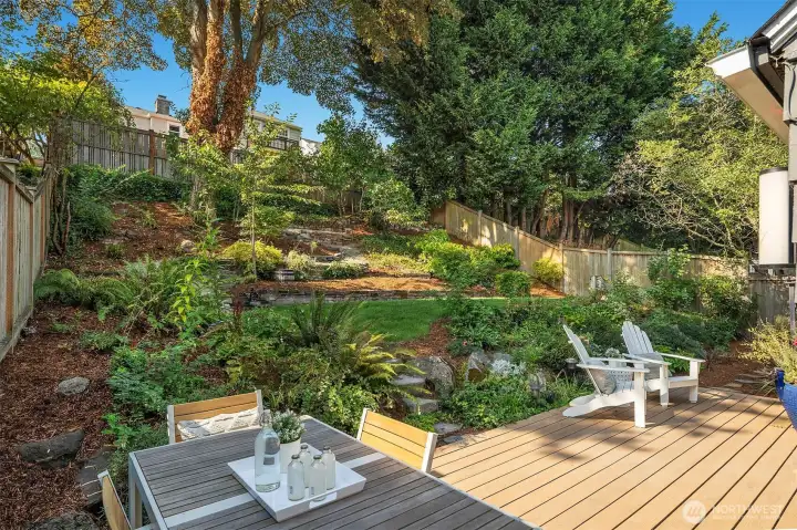 Sunny West facing backyard