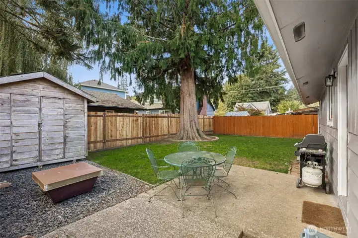 Nice large yard shed, patio and fire pit area