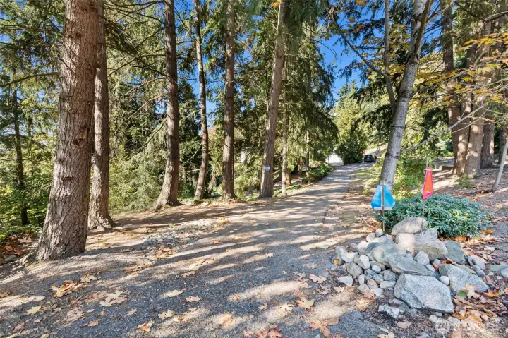 Long tree-lined drive off Edgewood Dr