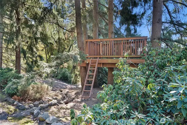 Tree house