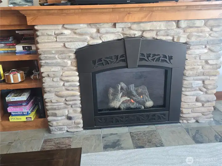 Propane fireplace