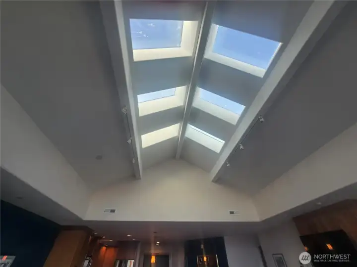 Skylights over great room