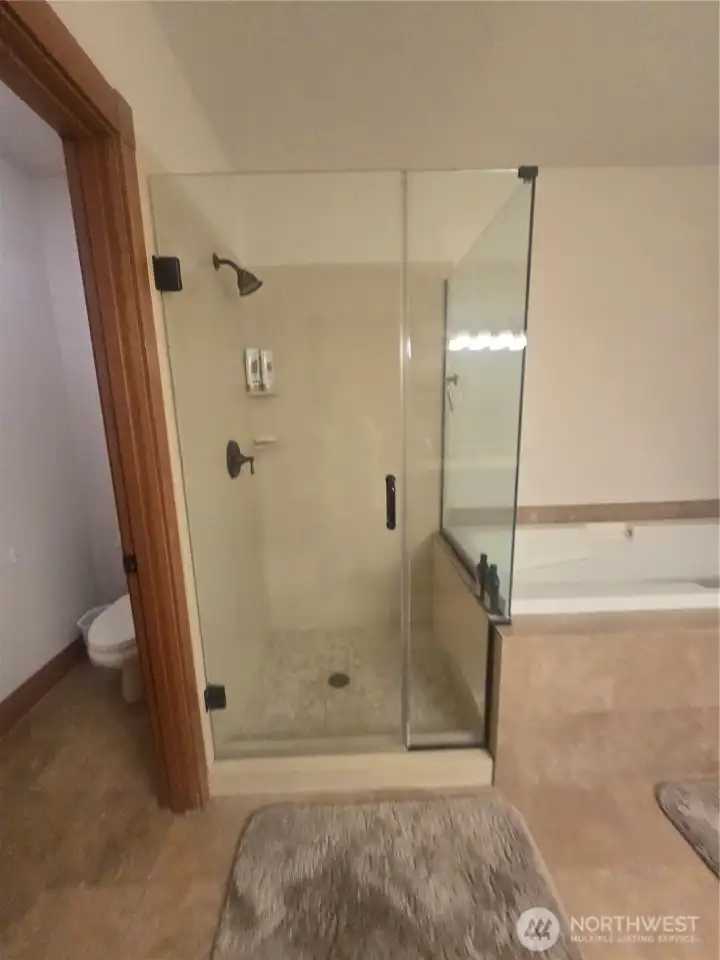 Primary bath shower