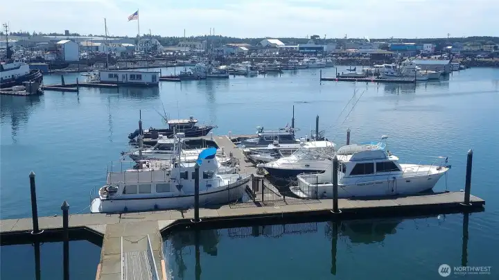 Boat slips have locked entry gate, electricity and water