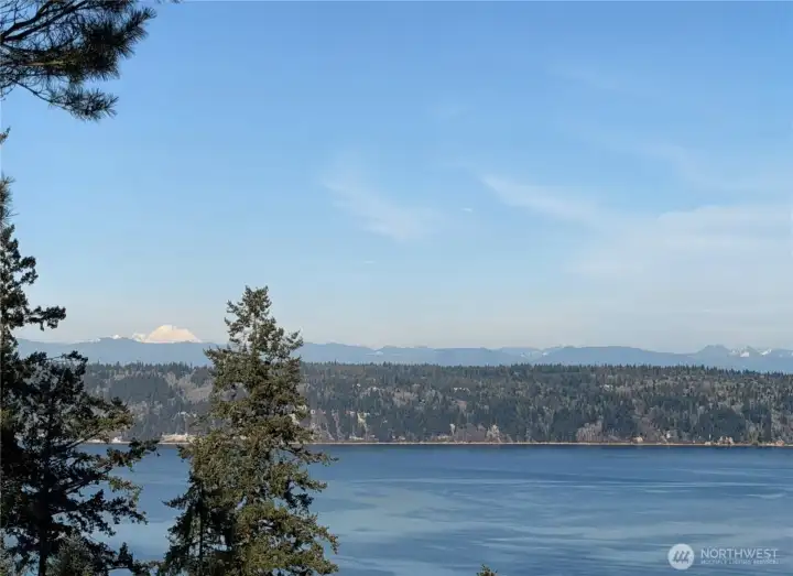 Mt Baker from the balcony of the shop.