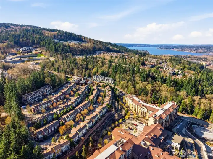 Talus Community in Cougar Mountain