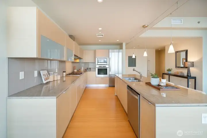 Sleek countertops &  high-end appliances