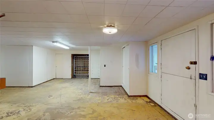 Basement Living Room