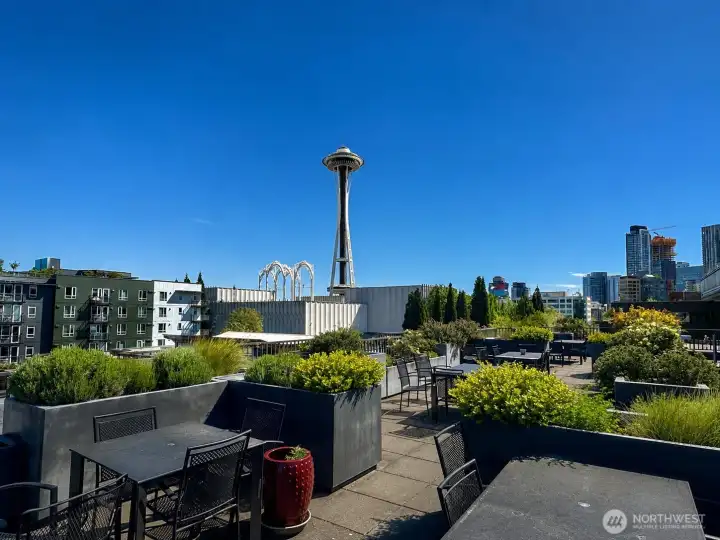 View on the Space Needle from the rooftop