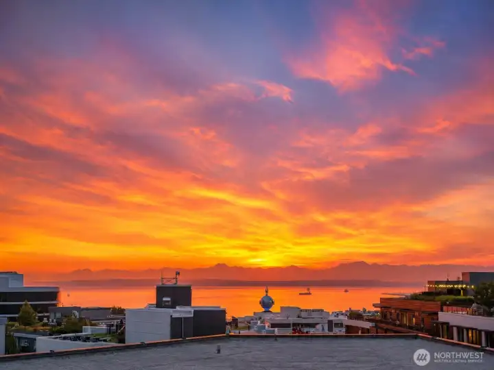 View on the Sound from the rooftop