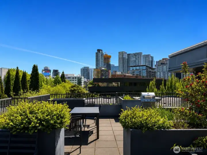 Beautiful view from the rooftop