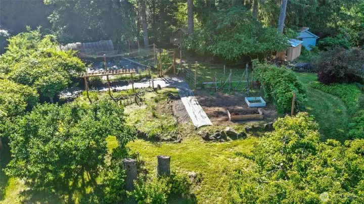 INCREDIBLE fenced gardens with berries, vegetables, fruit trees, greenhouse, and storage sheds seen in the background. Treasures abound!!  (Peep the cool treehouse in center back of photo!!!)