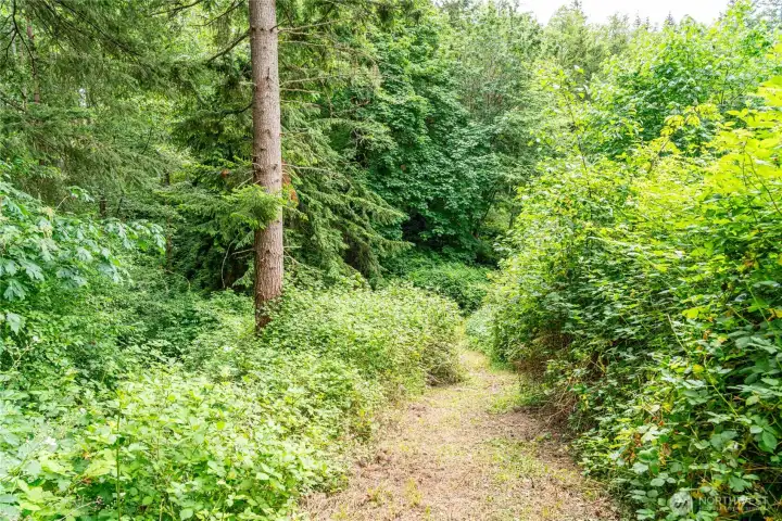 Trail to the back part of the property